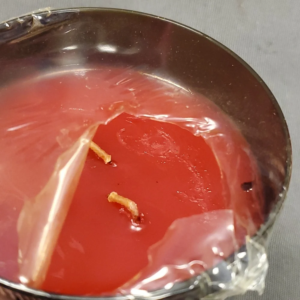 CRANBERRY FLIRTINI‎ 16 oz 2 wick Gold Canyon candle
